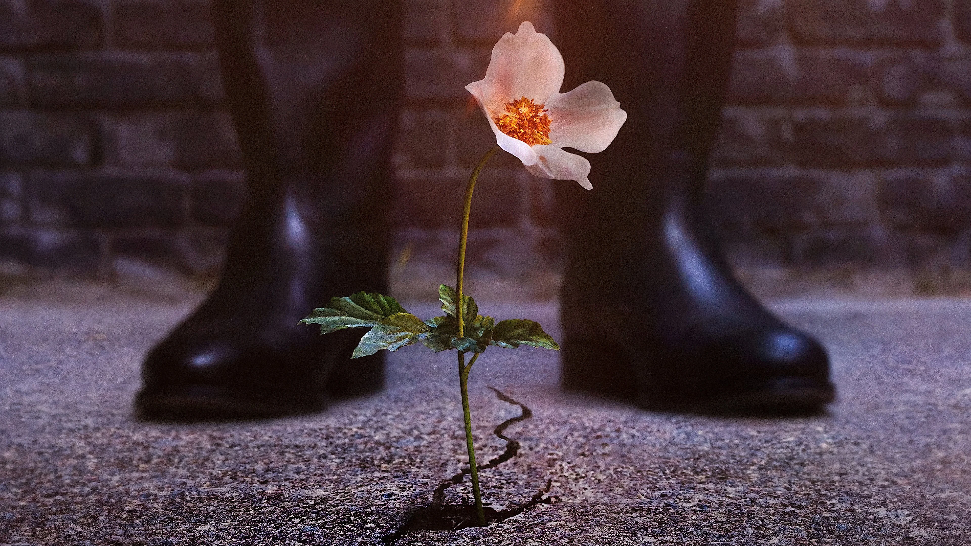 Thế Giới Của Phát Xít (Phần 2)